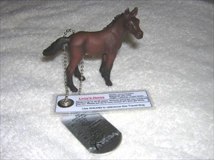 Tags on Lucy's horse Travel Bug